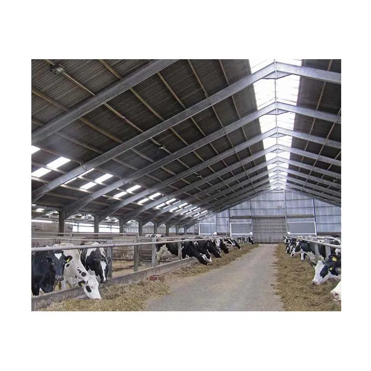 Prefab steel structure slaughter house equipment cattle for sale