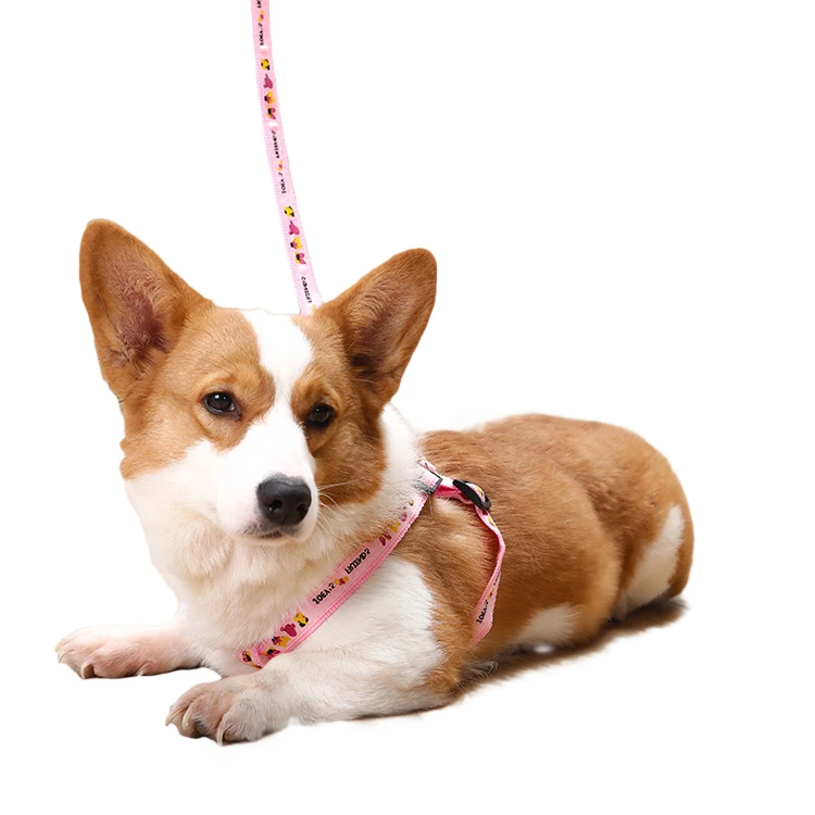 Pet Patch Traction Rope Quick Release Breathable Leading Leash Adjustable Dog Harness Pet Leash