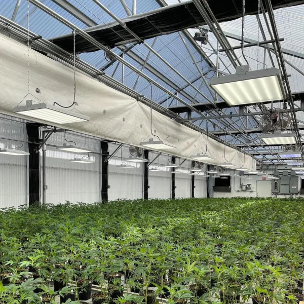 Hot Sale Auto Blackout Light Deprivation Greenhouse Hemp Dep Greenhouse Pc Sheet Greenhouse Agriculture Green House Equipment