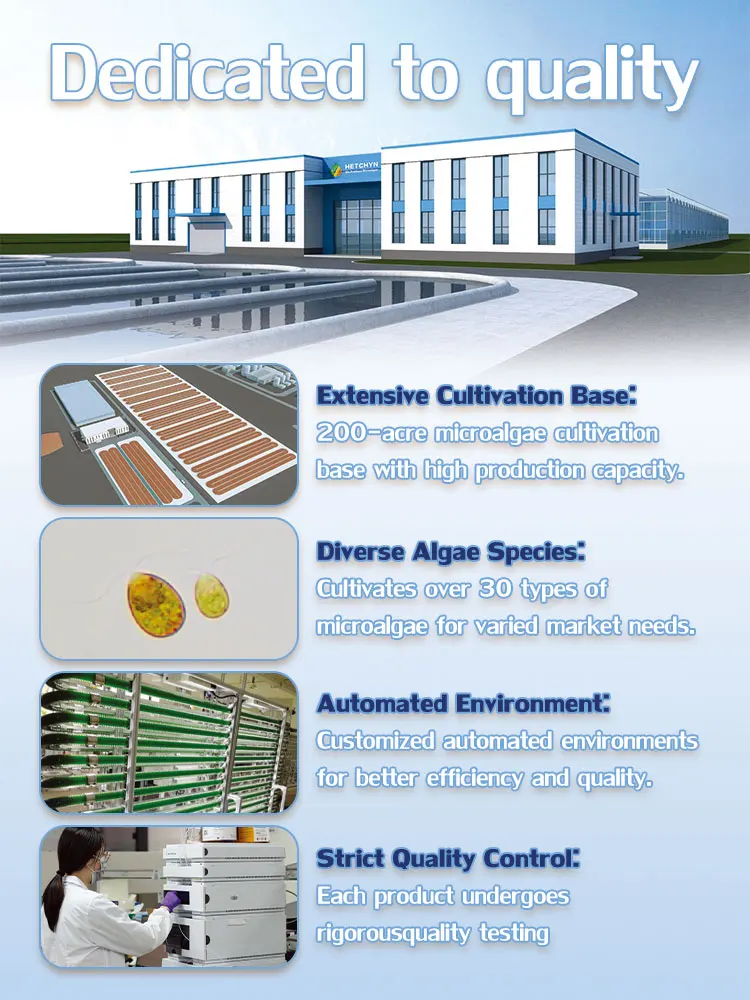Hetchyn OEM частная марка Спирулина 100% чистый органический порошок спирулины для продажи