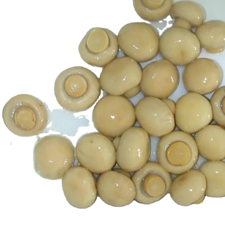 Canned vegetable canned mushroom ( whole, half,pieces,slice)