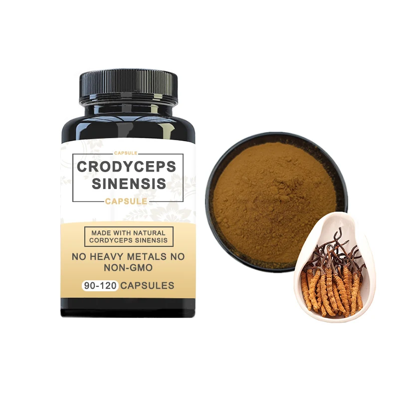 Organic 10:1 Mushroom Ground Powder Health Cordycepin 1% Cordyceps Sinensis Extract Cordyceps Militaris Powder 1 Kg