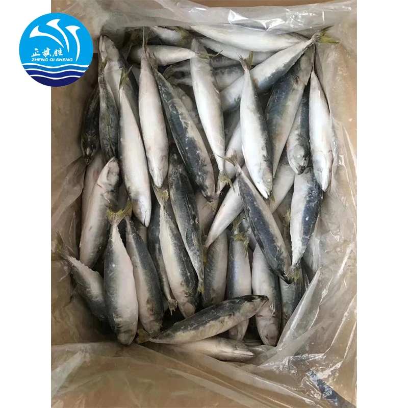 Good quality fresh seafood  IQF frozen mackerel fish