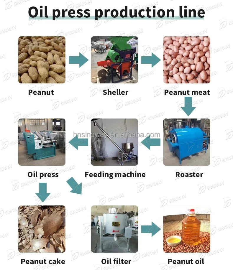 Automatic hidraulic oil press machine stainless oil seeds press machine oil press machine for sale in kenya