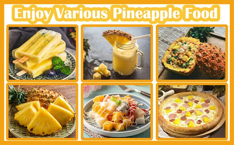 Pineapple Corer