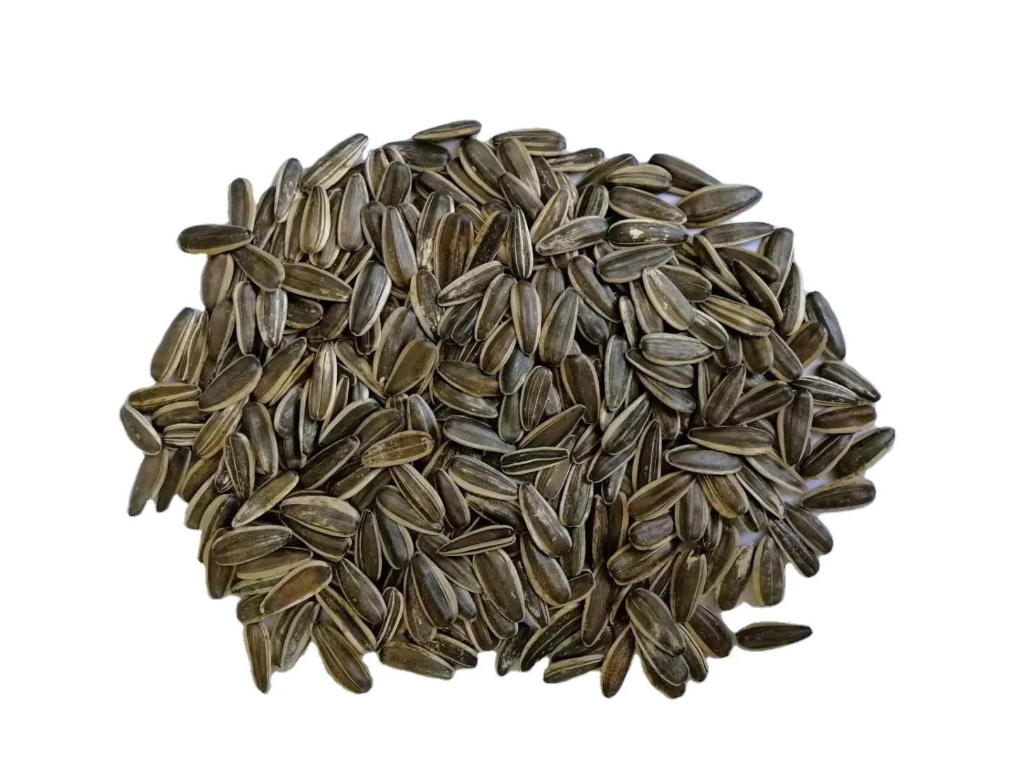 Roasted Sunflower Seeds  Mouth Friendly Recipe for All Day Snacking Chinese Factory In Bulk
