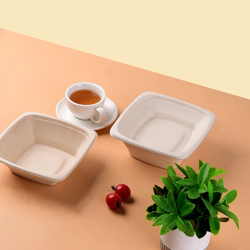 Wholesale Sugarcane Bagasse Food Container Disposable Compostable Rectangle Bowl With Lid