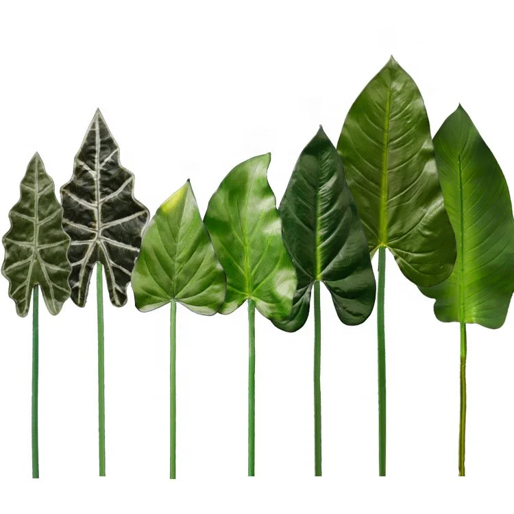 QiHao реальный на ощупь Aglaonema модема монстеллы банановый лист Гавайский искусственный веер Пальма тропическая центелла азиатские