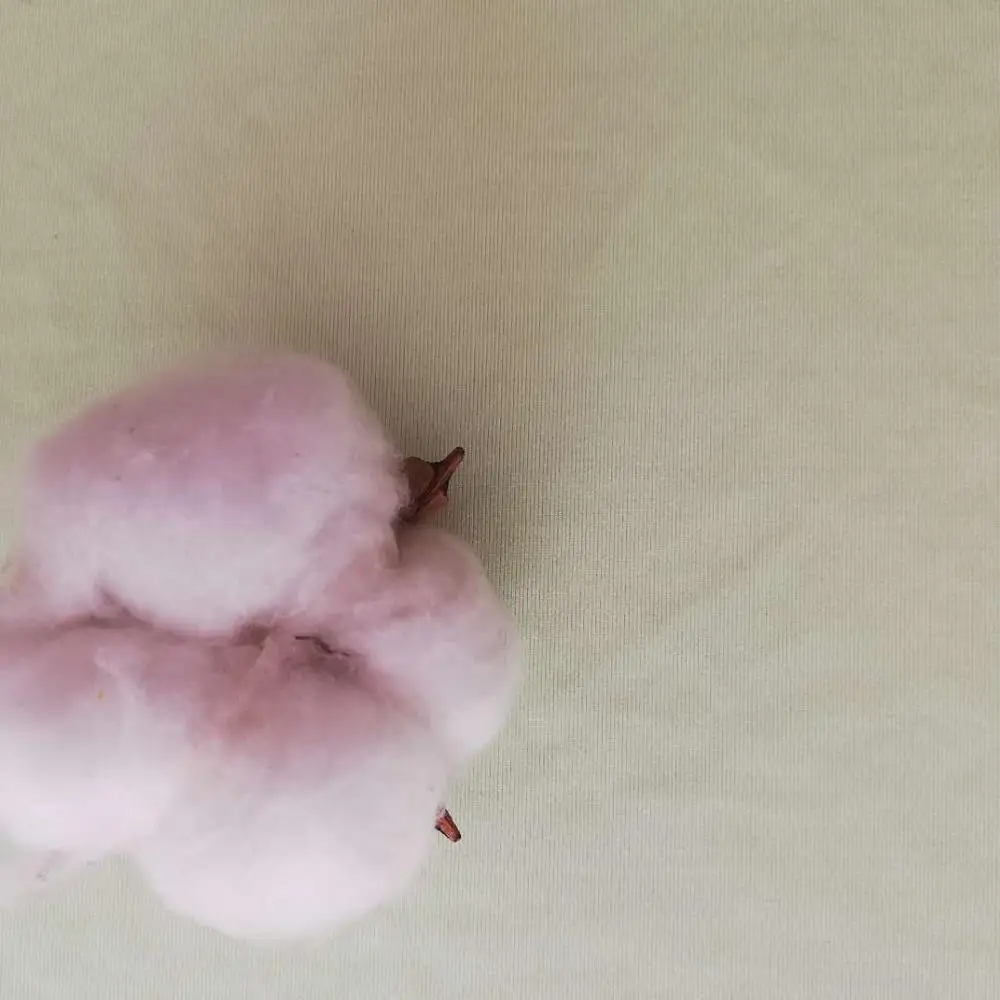 China factory directly supply CDP Fabric WT215  82% CDP  18% elastane 180 gsm Sportswear Cationic polyester active wear fabric