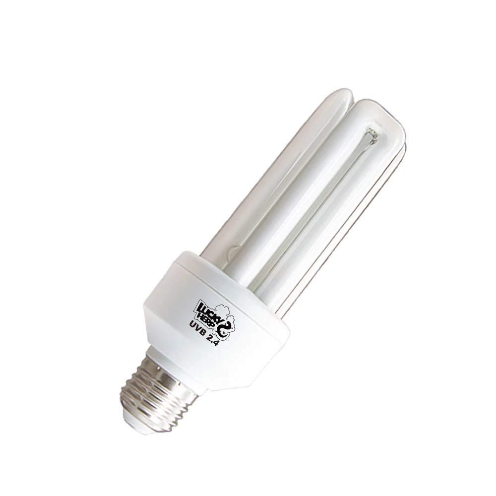 20W Avain Parrot Lighting Bird UVB 2.4% Compact Fluorescent Bulb