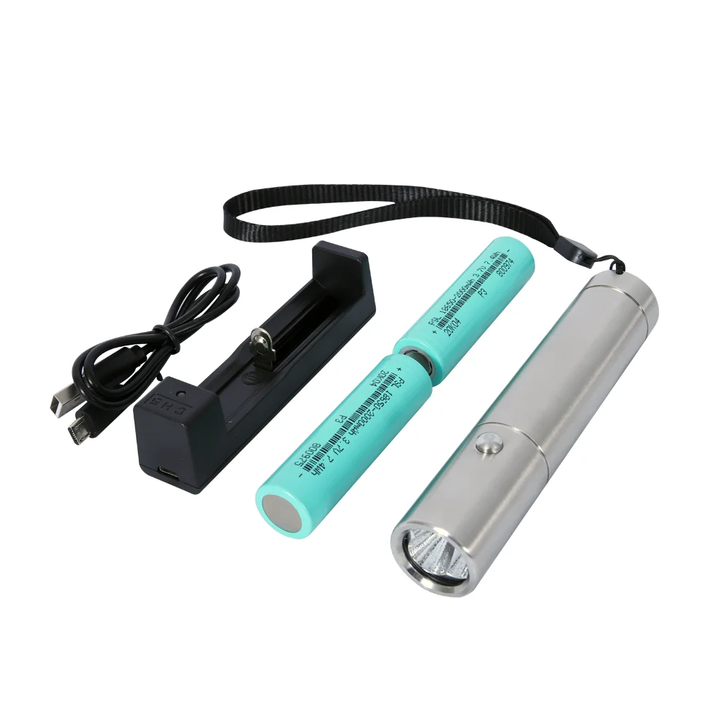 
physical pain handheld 630nm 660nm 850nm Near Infrared light therapy Class II LED torch lamp For Skin Tightening 