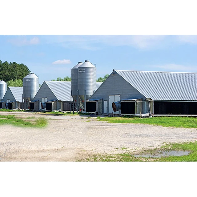 Prefab steel structure farm building broiler/cow barn sheep/cattle/dairy/goat poultry shed construction