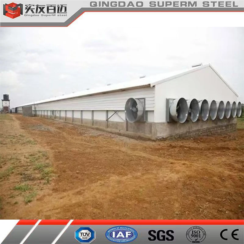 Prefabricated Metal Farm Building Steel Structure Fabrication  Poultry Farm Chicken House