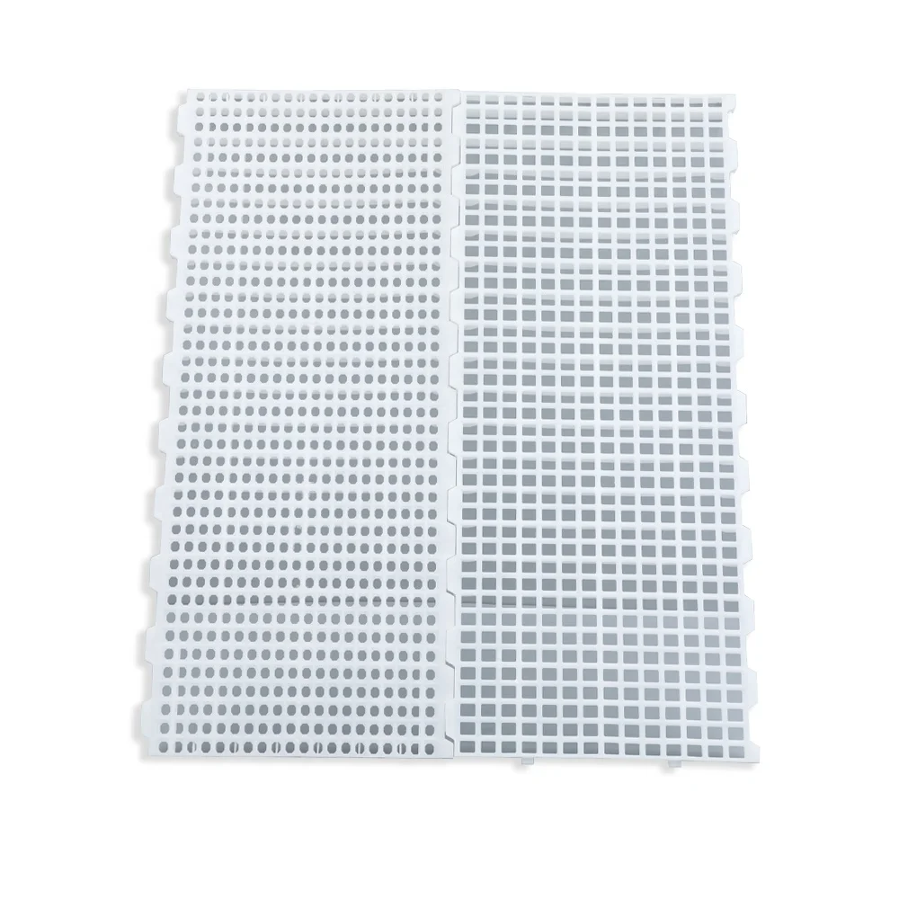 Modern farm poultry equipment Plastic poultry Leakage Dung Board /  chicken slatted floor