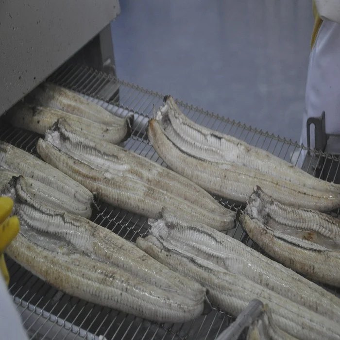 
Frozen Roasted Eel with high quality and factory price (Unagi kabayaki) 