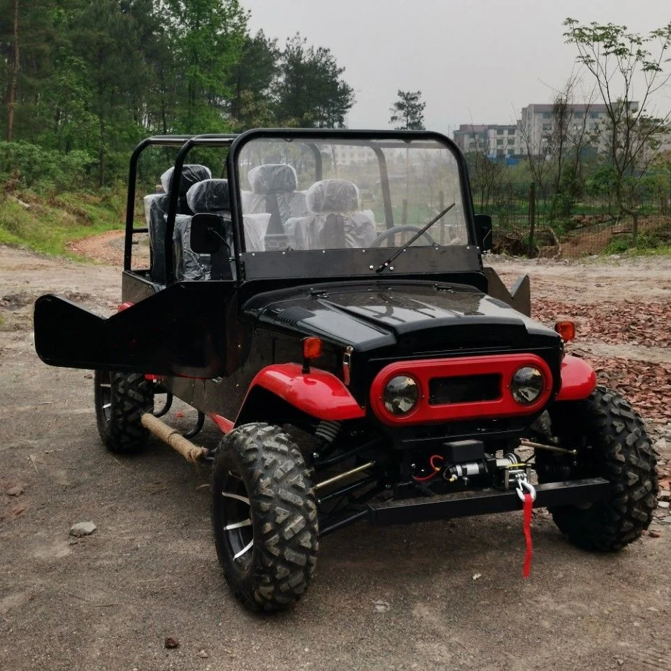 ATV-TY 2024 side by side quad automatic engine 4*4 drive 2 seats buddy 4WD shaft drive 320cc utv off road motorcycle