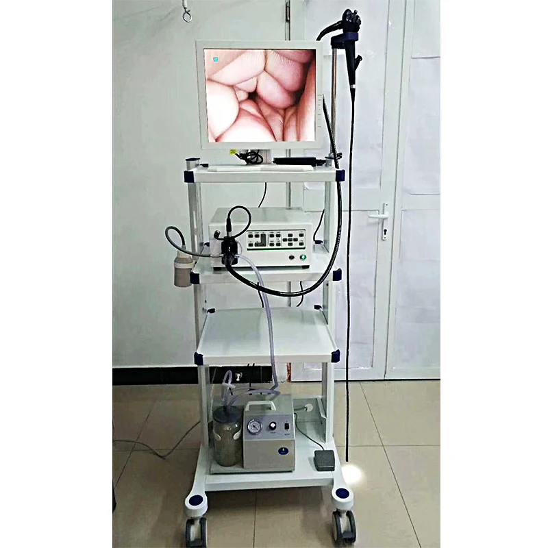 HC-R029 Medical Endoscopic System Hot Sale Veterinary Endoscope System For Gastroscope