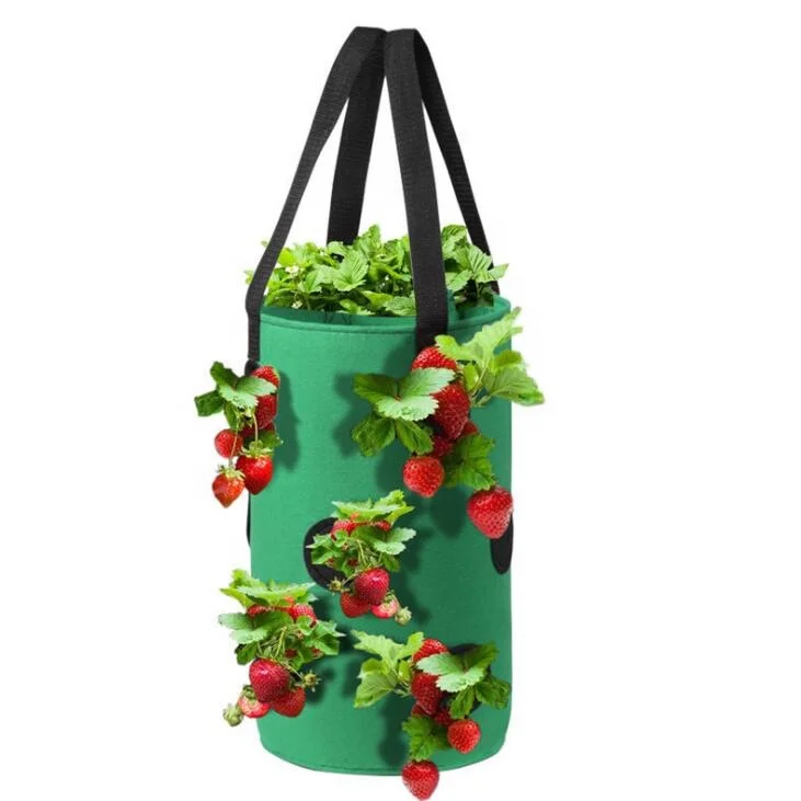 Factory Supply Environmentally Friendly and Easy To Take Care Of Felt Strawberry Grow Bag
