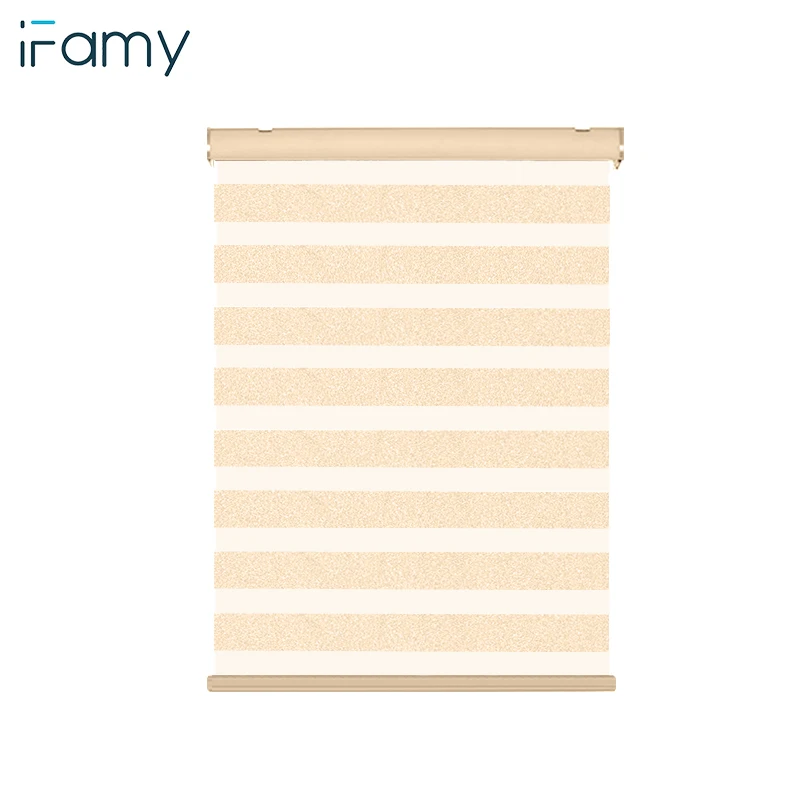 Customized Size Day Night Wifi Blackout Dual Layer Electric Automatic Smart Motorised Motorized zebra window blinds shades