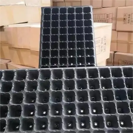 18 20 24 36 40 45 Cells PS Seed Tray Plastic hydroponic system  for nursery of vegetables plastic seedling tray