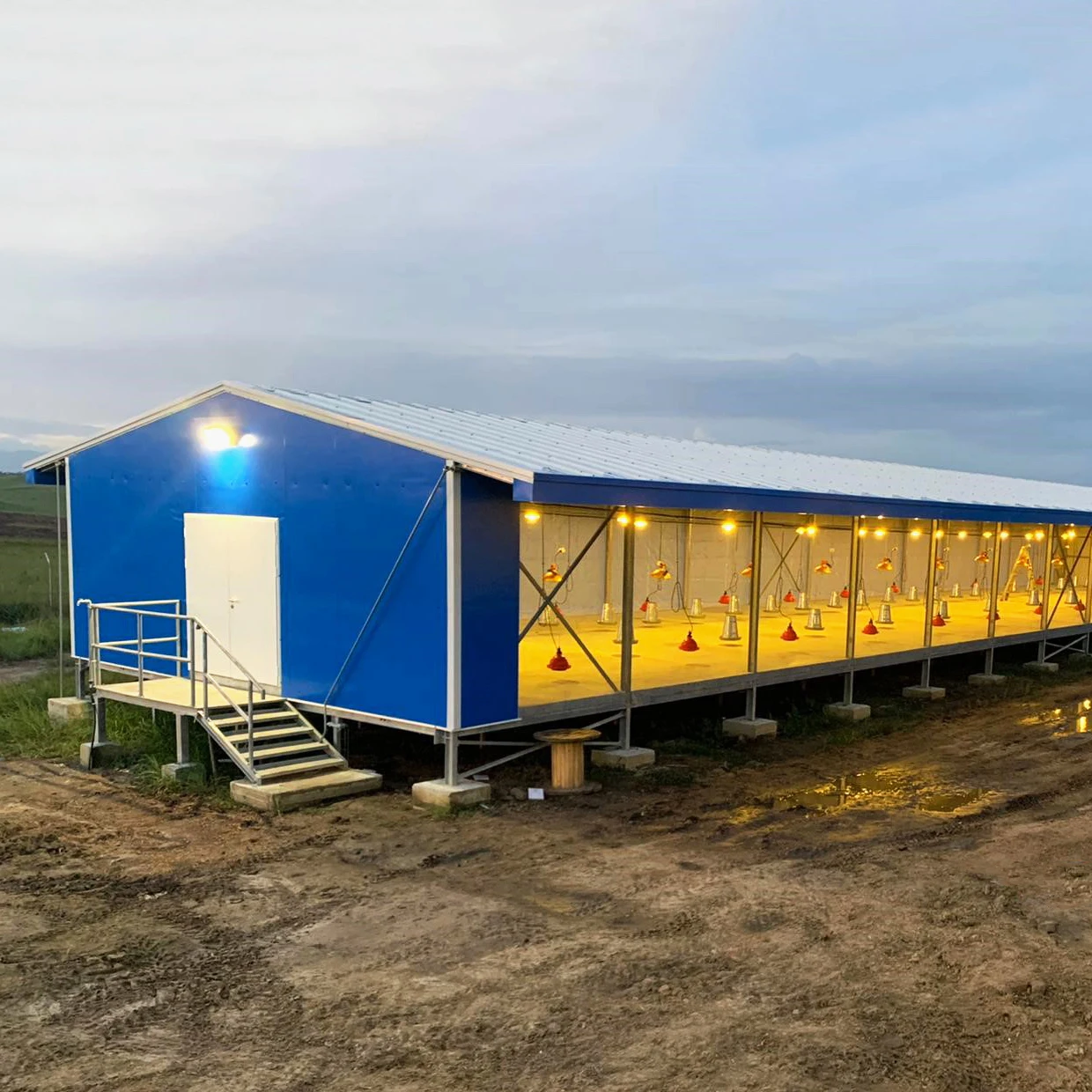 Prefabricated piggery House Poultry Shed Steel Structure Construction Farm Poultry Equipment For Sale