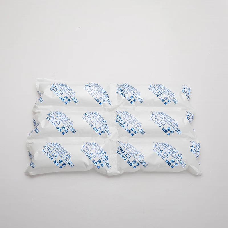 BSG Wholesale custom Food Grade Dry Ice Packs Water Injection Cooling Gel Ice Pack