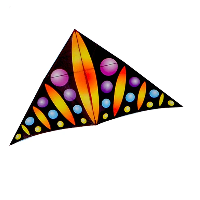 
Easy flying colorful delta kite 