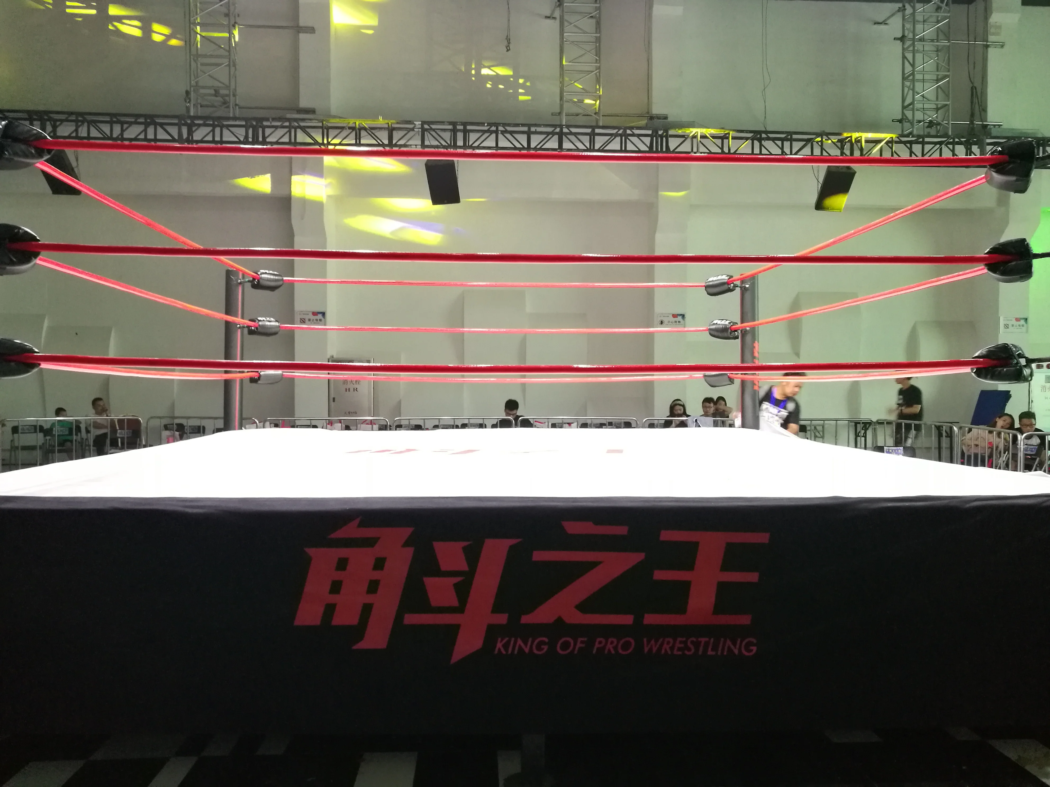 Fightbro бренд ИСБ Стандартный боксерский ринг/квадратный повышенной Бокс Борьба кольцо RG серии