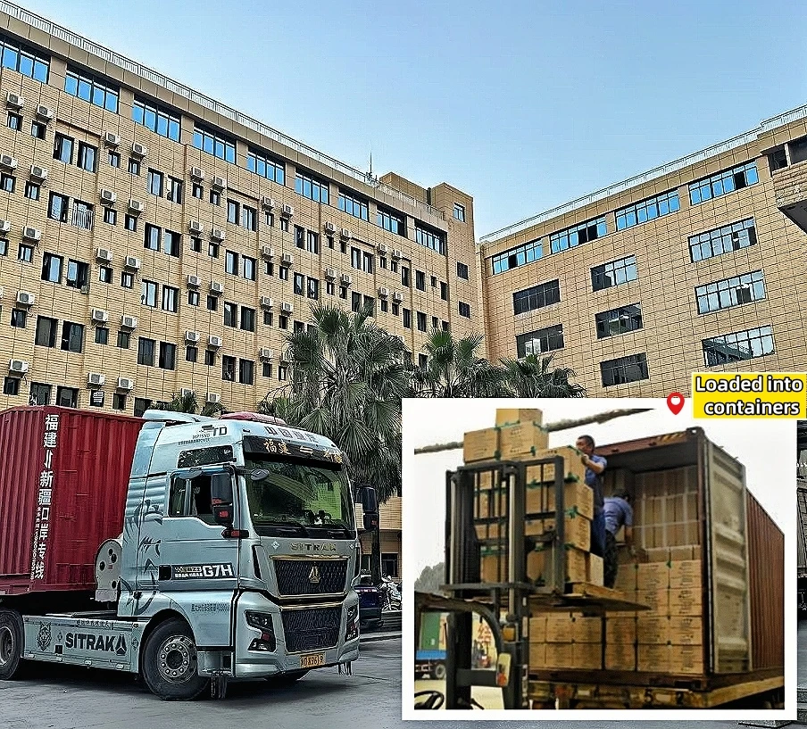 10 Million Pcs Jackets Produced Mens Windproof and Waterproof Lightweight Coat Outdoor Hooded Couple Trekking Jackets for Hiking