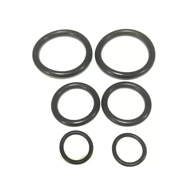 Fully Automated Batch Cleaning System Silicon Epitaxy System Series PSS ICP FFKM O-ring Seal