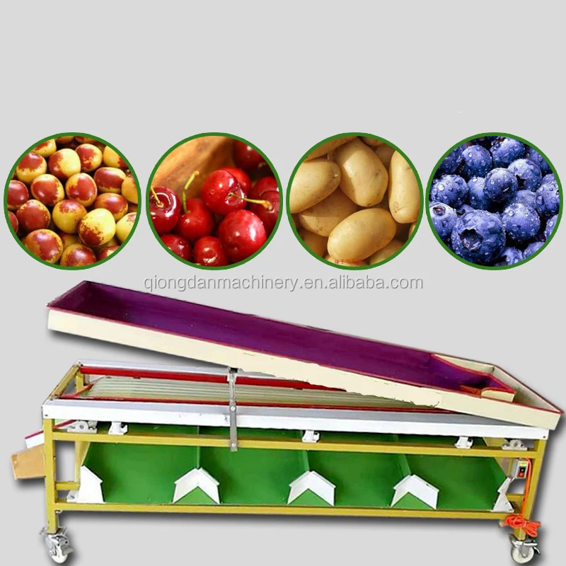 Vegetable/fruit sorting machine Olive Jujube Date palm Plum lemon Strawberry Blueberry Shame Areca Mangosteen grading machine