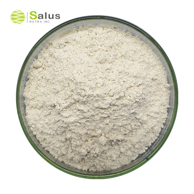 Best Price Natural 98% Naringin