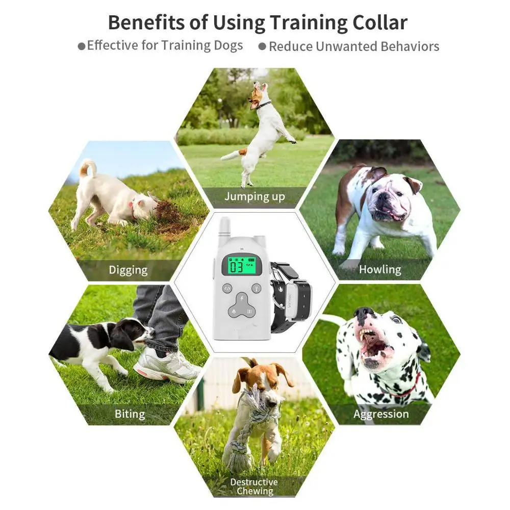 
Factory price no harm electronic shock pet dog training collar 