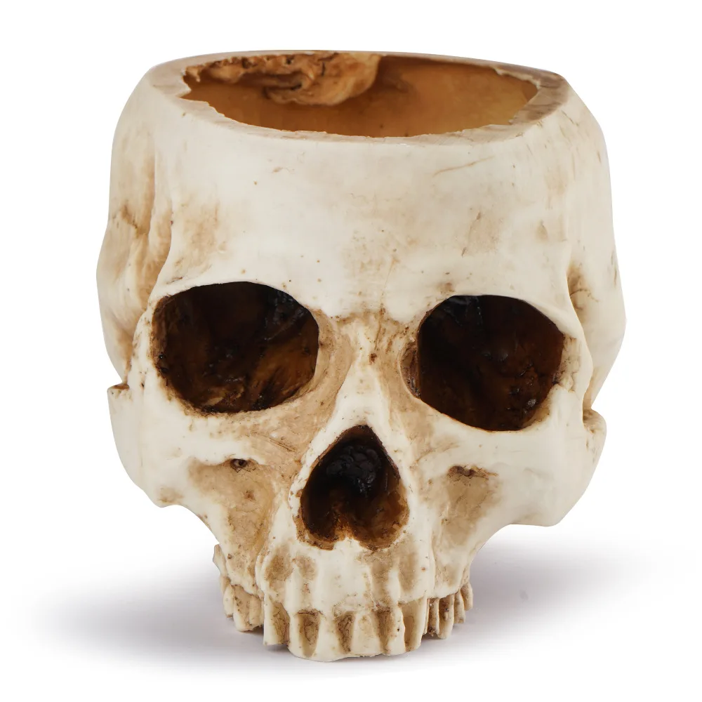 Amazon Top Cool Gift For Friends High Strength Resin Flower Pot Skull Shaped for Home Office Desk Decorations Flower Planters