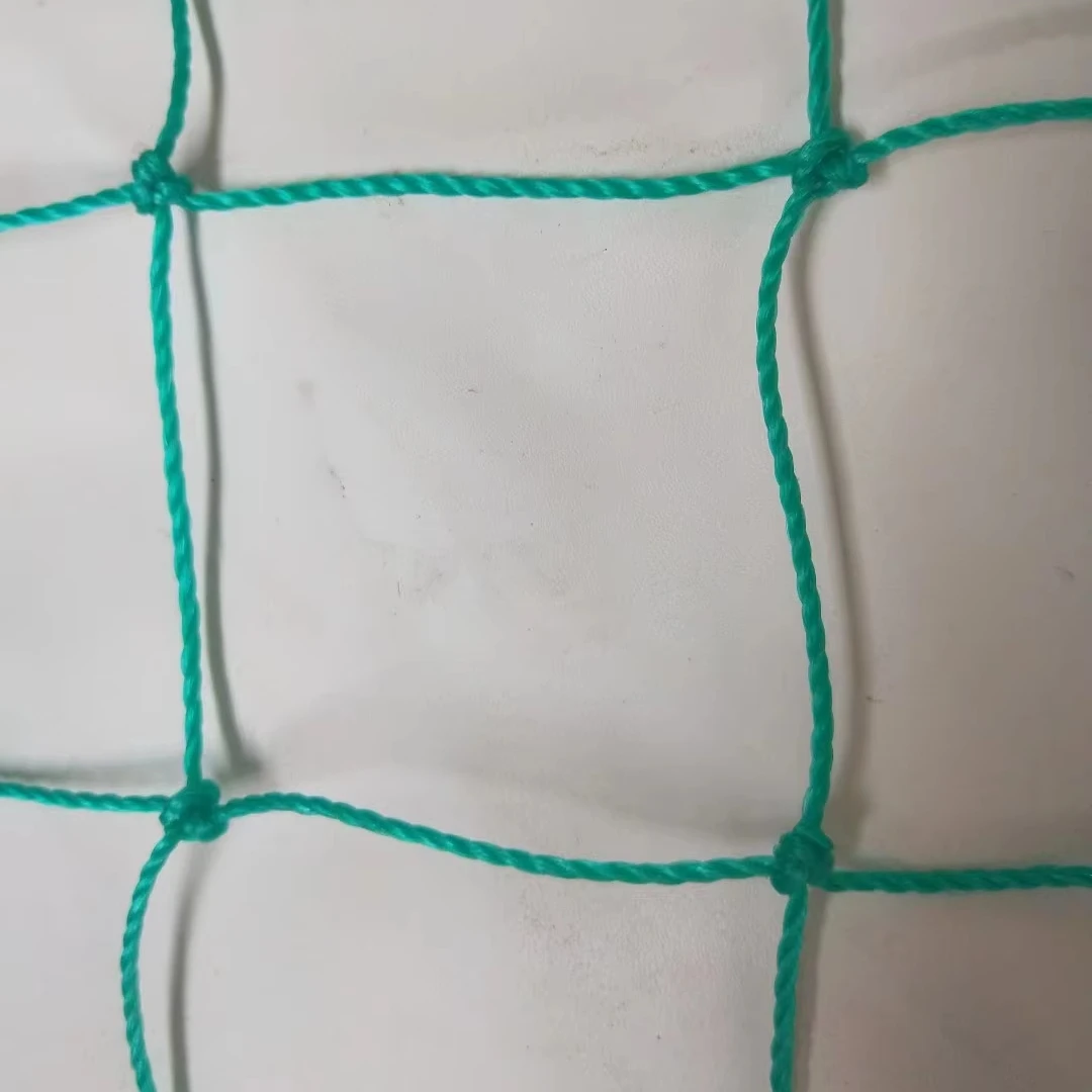 Cheap beach volleyball net Professional size 9.5X1M PE volleyball net