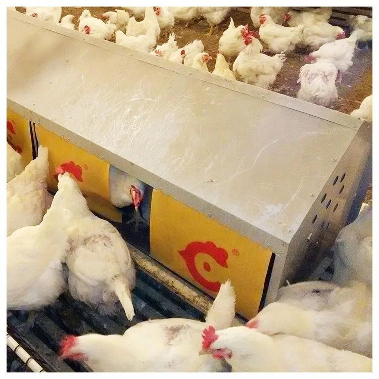 Оборудование для сбора яиц система