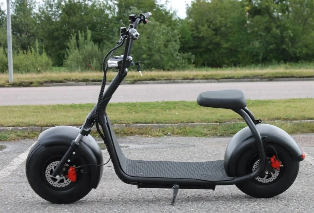 EEC Citycoco Electric Chopper 2000w 3000w Citycoco Electric Scooters
