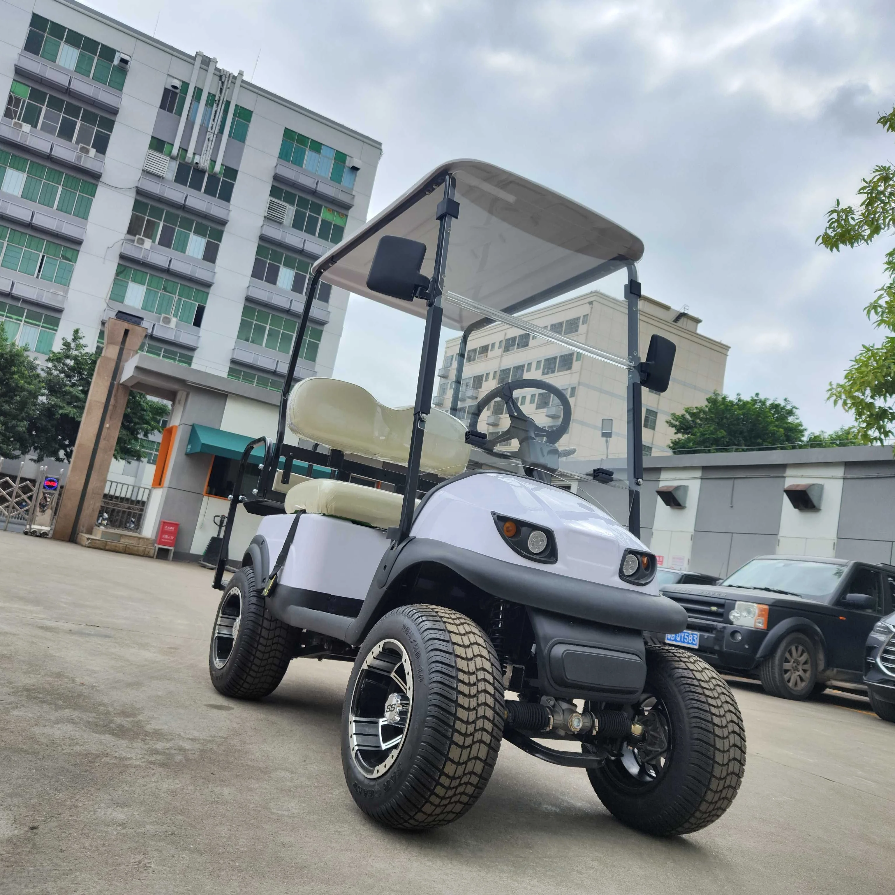 Best Quality Electric Sightseeing golf carts 2 4 seater Hot Sale buggy car for sale