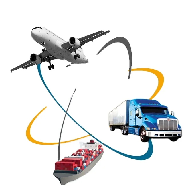 Cheap Ocean Comp Free Sea Shipment Seafreight logistic company Shipping China To us/uk/italy/canada By Sea