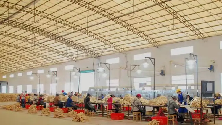 2022 New Custom Boutique Durable Anti-slip Wooden Clothes Hangers 4 colors wood hangers for clothing