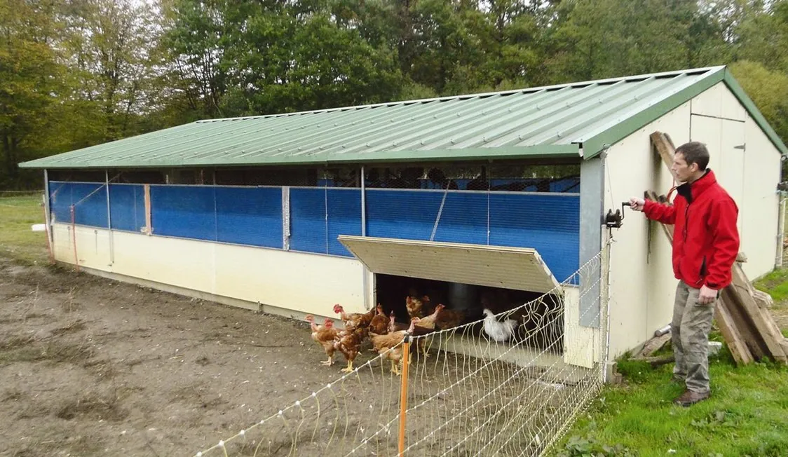 Poultry building house prefabricated shed chicken farm coop houses
