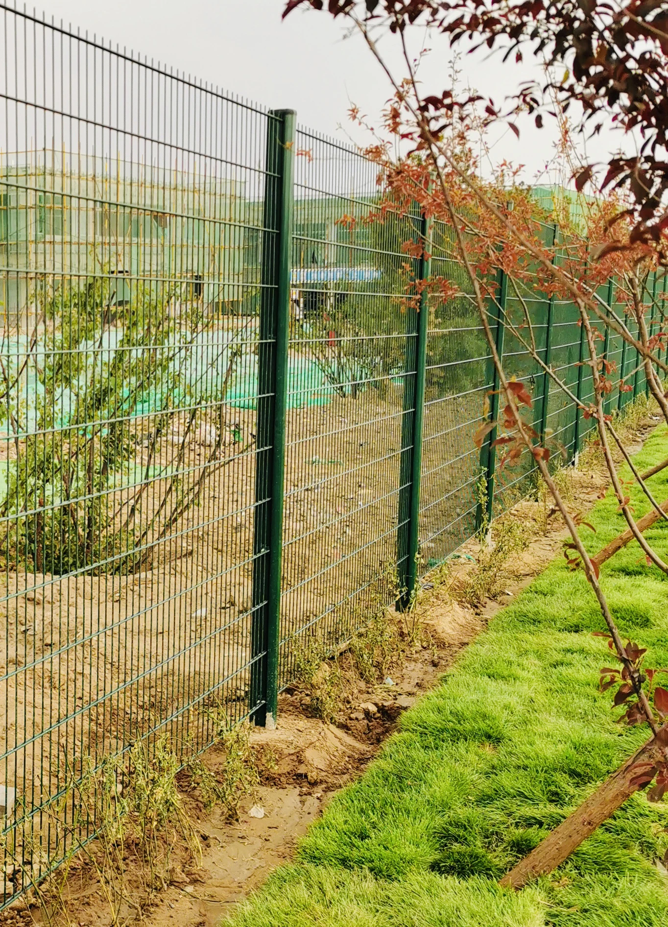 Yard Link 656/868 Iron Double Wire Welded Mesh Fence 2D Panel Fencing For Garden