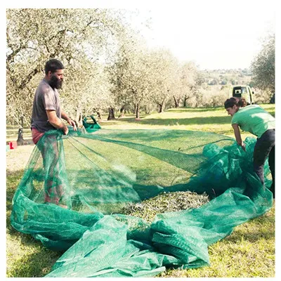 100% virgin HDPE 85gsm Plastic Agriculture Picking Olive Harvest Net Fruit Collection Netting