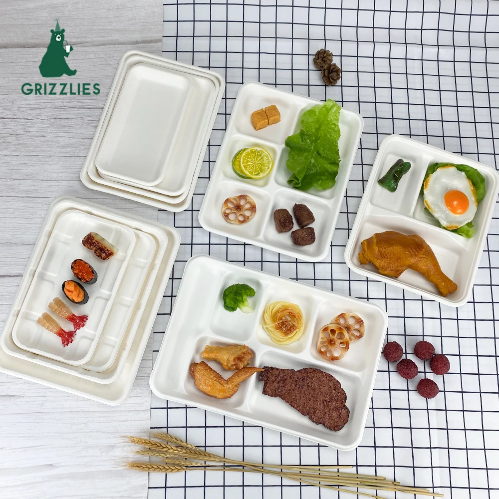 Disposable Sugarcane Paper Pulp 3 4 5 6 Compartment Serving Tray Bagasse Fiber Product Disposable Tableware