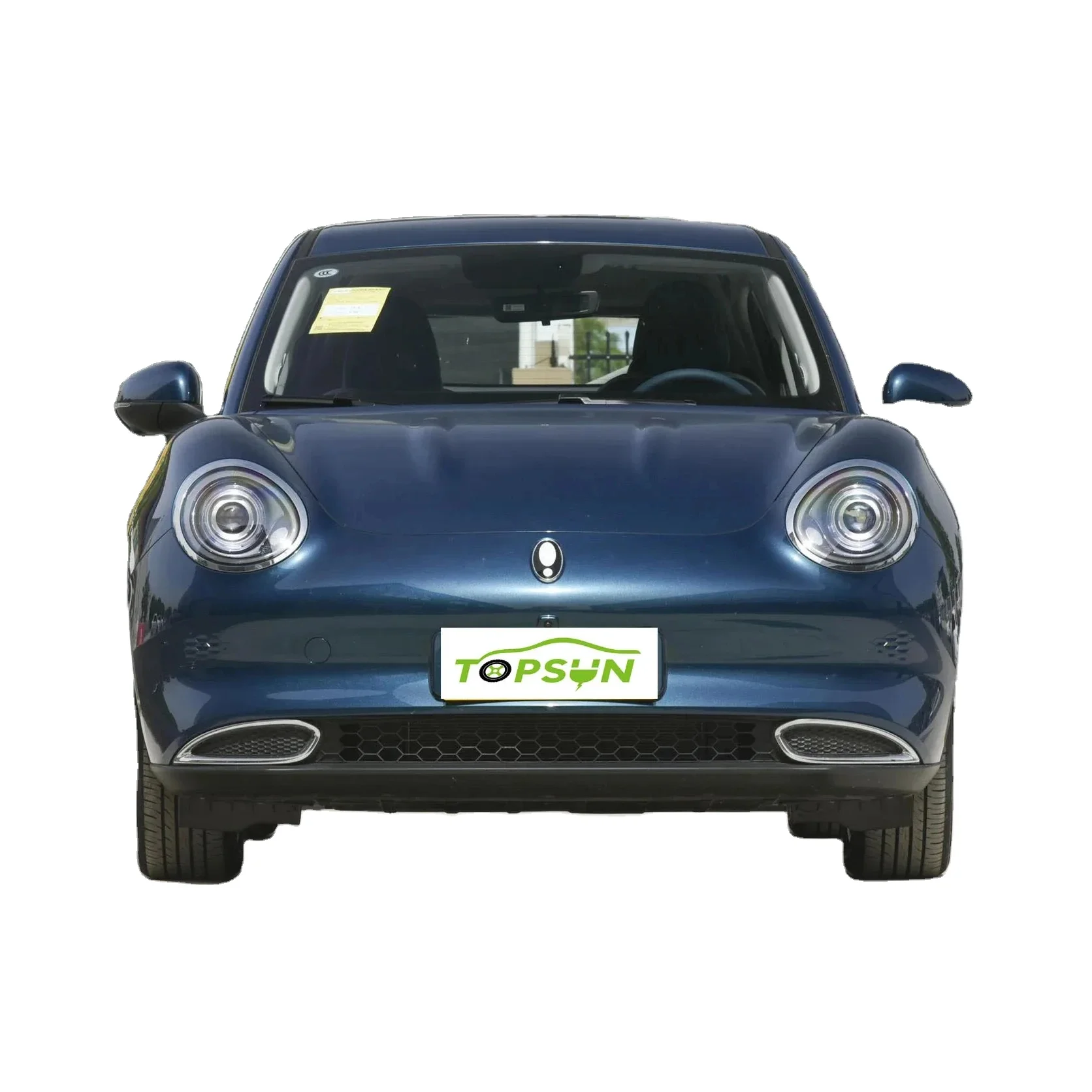 TOPSUN  New Energy Vehicle Euler Haomao Ora Ola Good Cat 401 Kilometers Mini Electric car