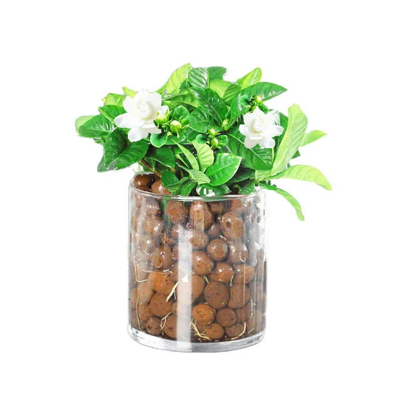 Hot Sale Garden Expanded Ceramsite Horticulture LECA Clay Pellets 50L Bag Competitive Prices Good Quality