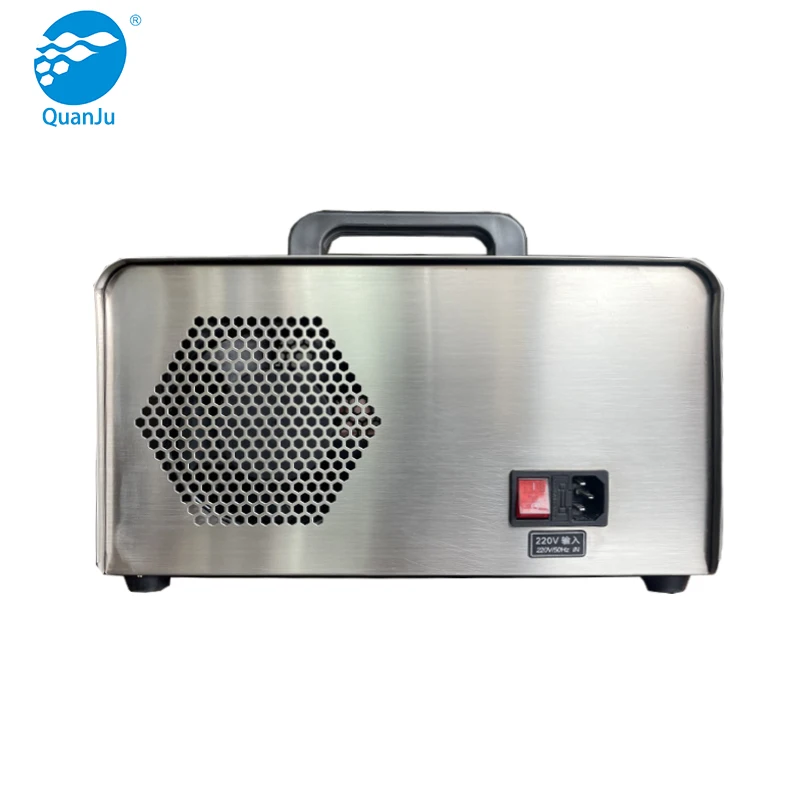 Ceramic Plate Ozone Generator 220v 110v 10g Commercial Ozone Generator Strong Concentration Ozone Air Purifier