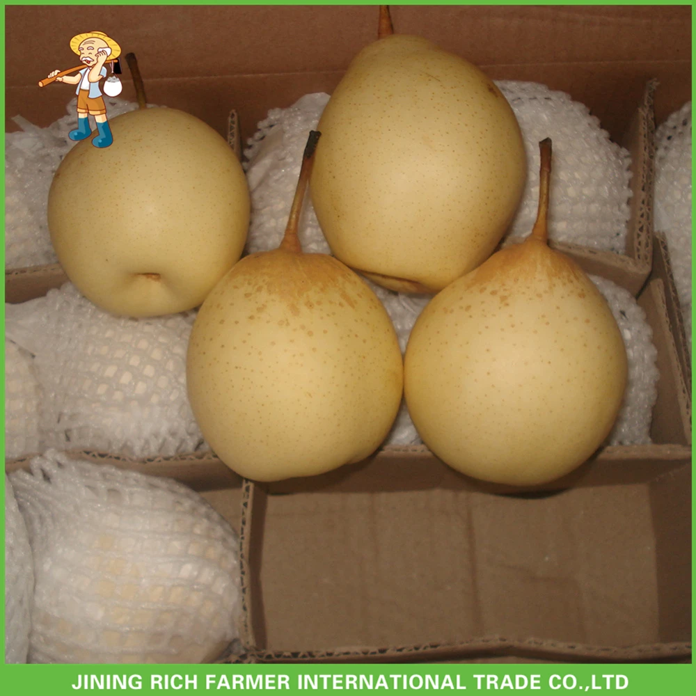 Fresh pear fresh fruit Ya Pear Asia Pear