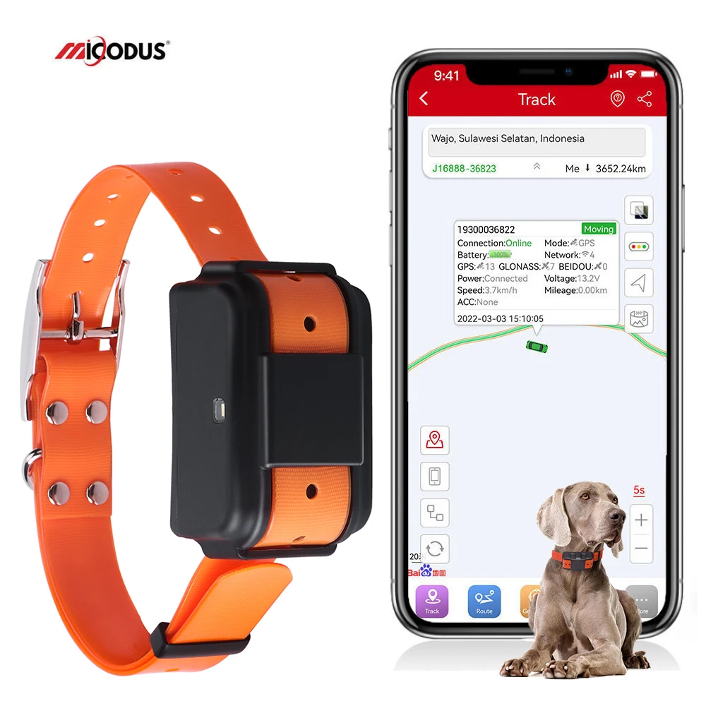 Real Time Location MiCODUS MP50G Voice Monitor Animals Accurate Gps Tracking Device Smart Gps Pet Dog Locator 4G Pet Gps Tracker