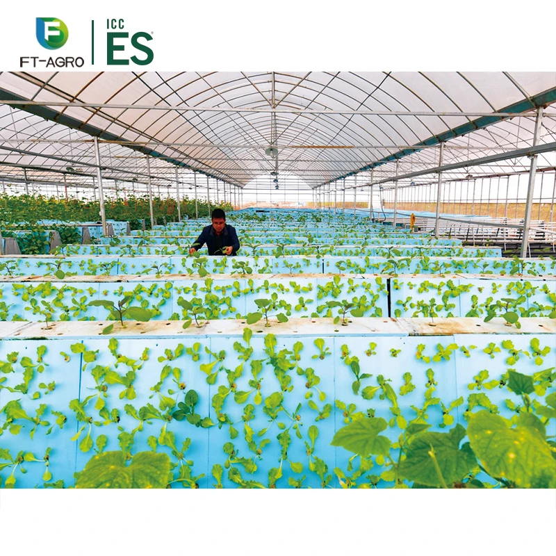 Однослойная и Большая теплица для гидропонного выращивания клубники, теплица для гидропоники